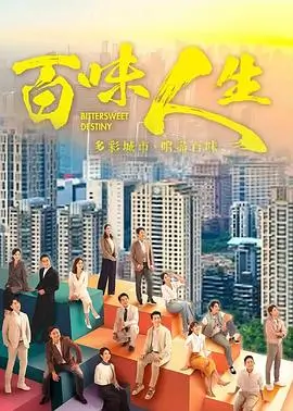 雾港迷局 全集免费在线观看